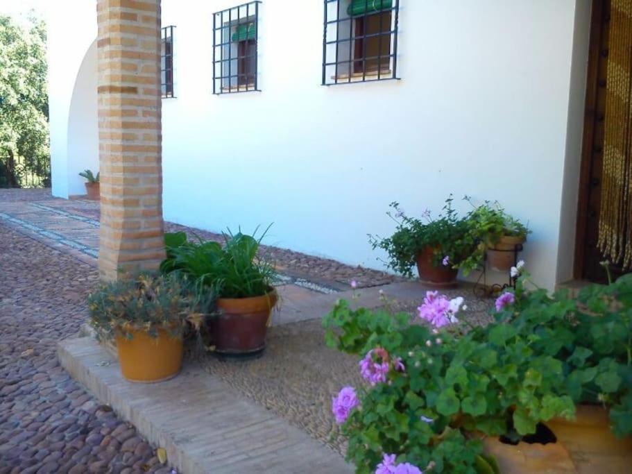 Villa Carmen Magnificent Country House In Serrania Ronda Exterior foto