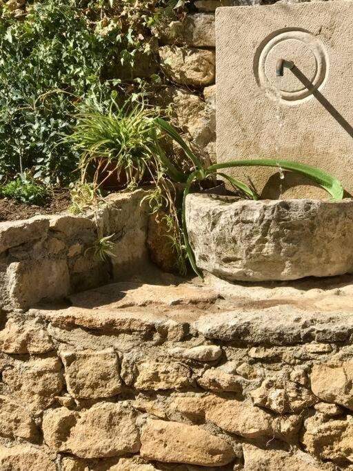 Villa Carmen Magnificent Country House In Serrania Ronda Exterior foto